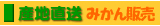 みかん産地直送