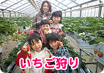 いちご狩り