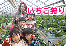 いちご狩り